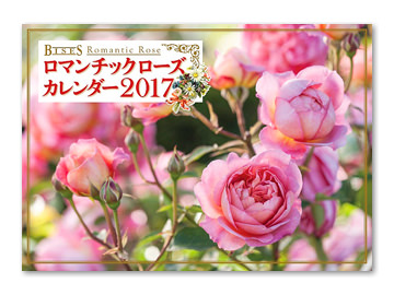 BISES ロマンチックローズカレンダー2017